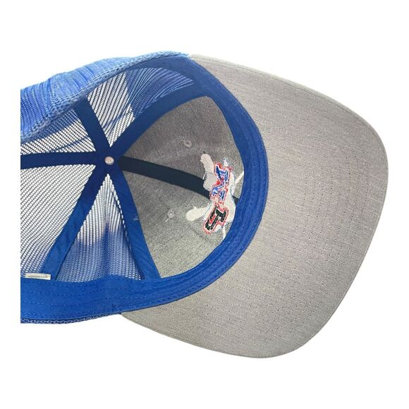 Texas Mustang Panthers Richardson Snapback Mesh Hat πΎπ - Picture 6 of 8